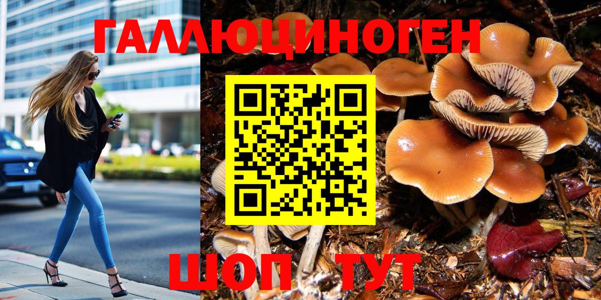 где купить наркоту  Галлюциногенные грибы прущие грибы  Великие Луки  Вход с VPN  Псилоцибиновые грибы Psilocybine cubensis 